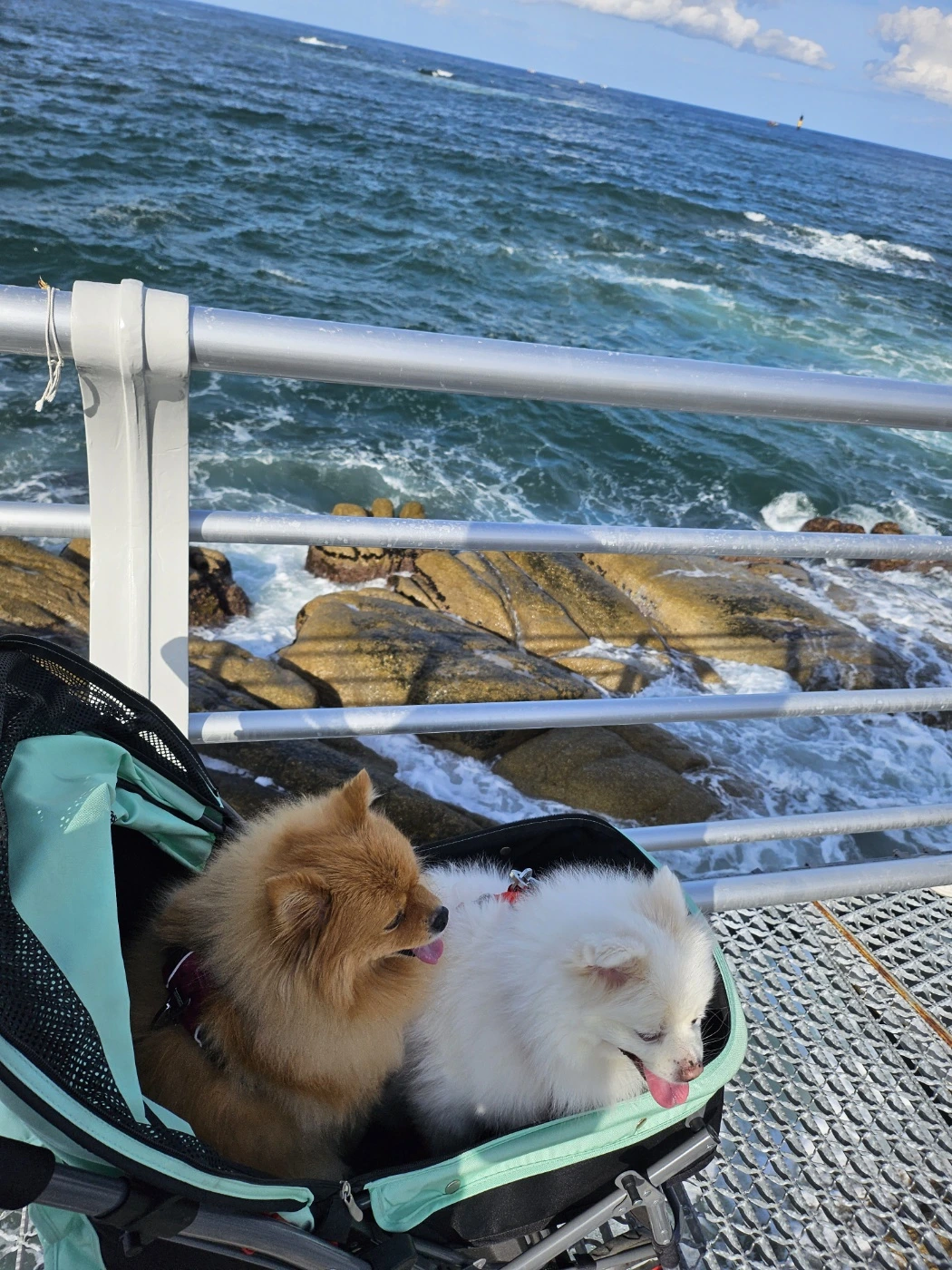 KakaoTalk_Photo_2024-03-13-11-31-26 006.jpeg