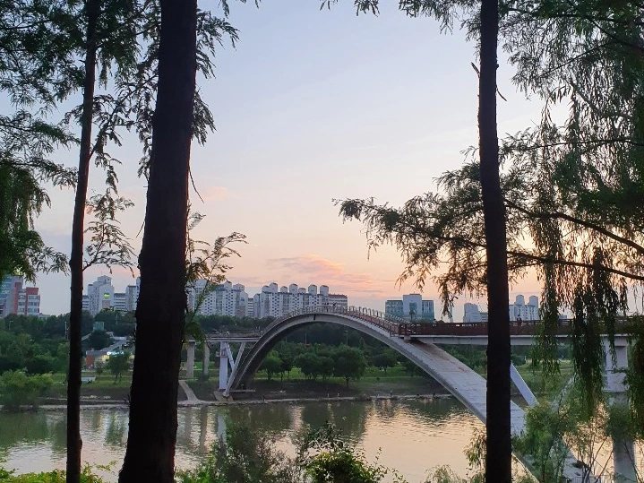 SE-4422a00e-0a91-4e44-9611-9499a9a744ef.jpg?type=w1