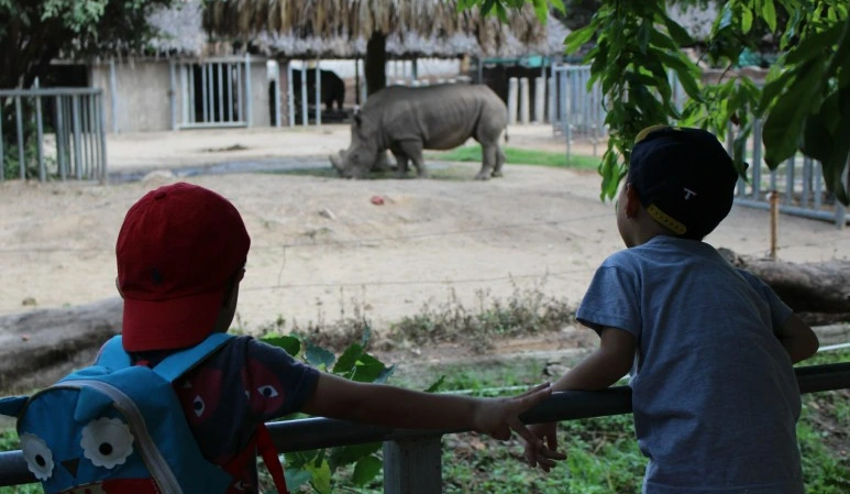 20160406_SaigonZoo_(10).JPG?type=w773