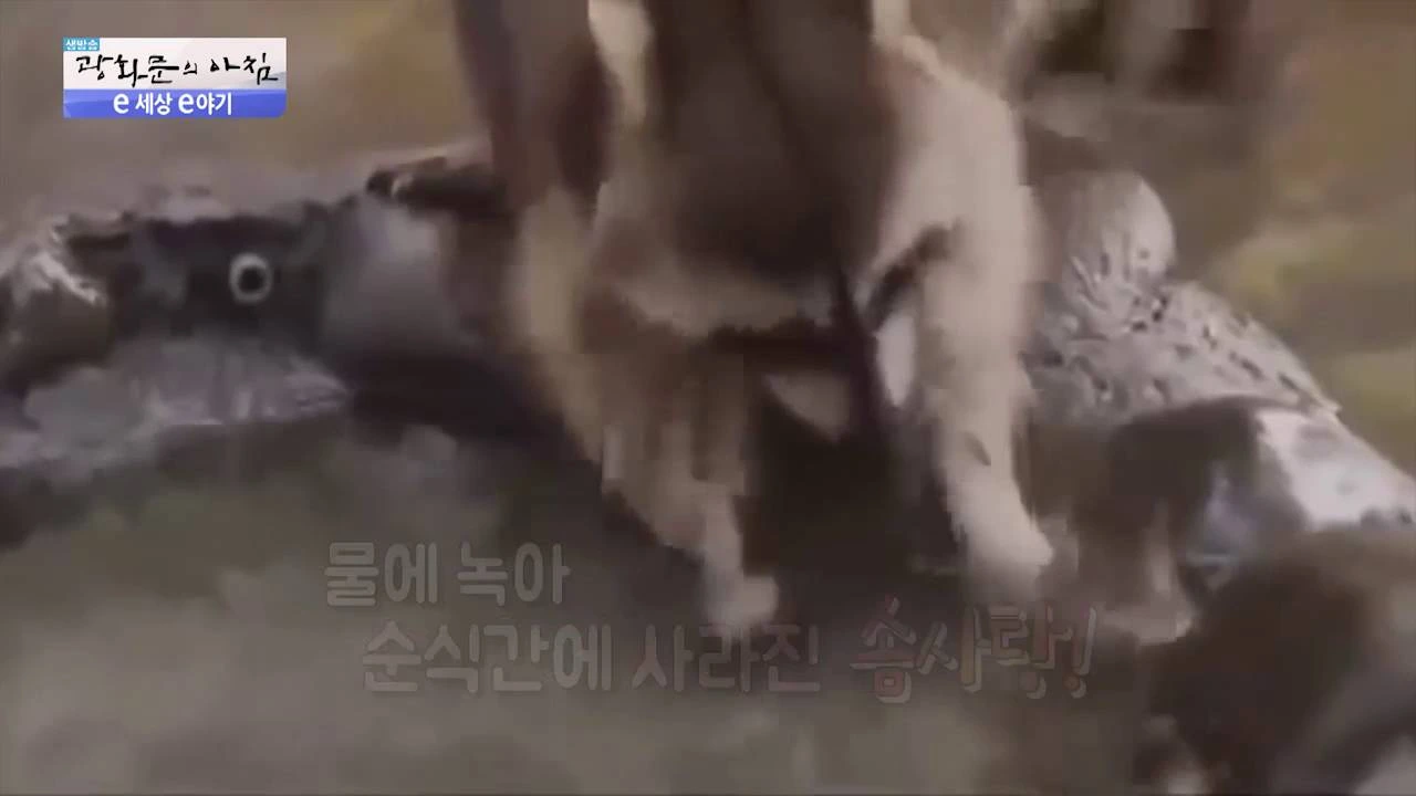 s1TwUGE7H8jeYhkFTIfNYiiCgvGxOYJXR0TqPKkMbNJcY8pCJSCkLPDVvpfm8WLqPrNLQTHltigMZr8eorHudBJlVZRUmrvbwmMwv9OqnvLDhqNSZsVH_vK9qd77d2Nh9MO9z0Lk