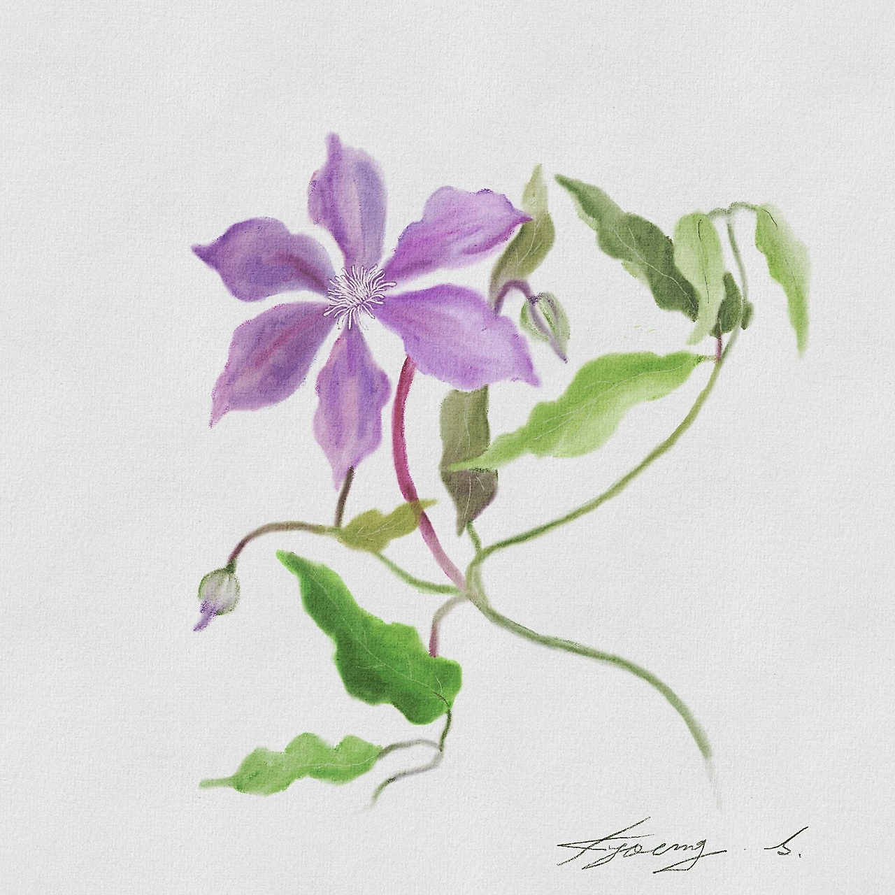 PD_Watercolor_Texture_3.jpg?type=w1600