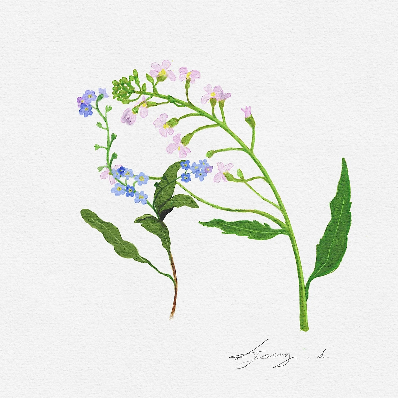 PD_Watercolor_Canvas_1.jpg?type=w1600