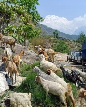 KakaoTalk_20240528_133320622_05.jpg?type=w275