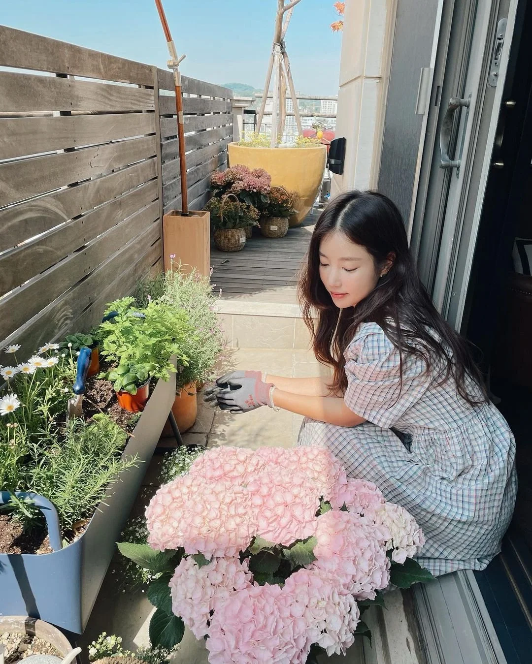 %EB%A1%B1%EC%9B%90%ED%94%BC%EC%8A%A44.jpg?type=w1200