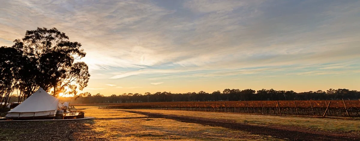 %EB%8F%99%ED%99%94%ED%9E%90%EB%A7%81%EC%BA%A0%ED%94%84.jpg?type=w1200