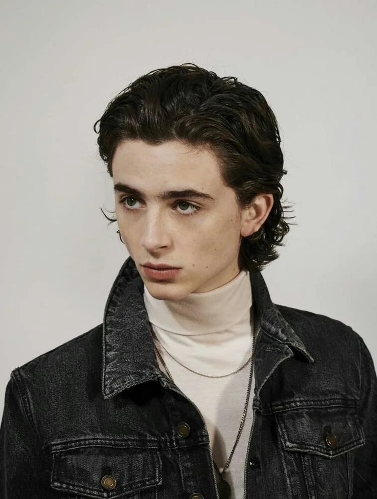 Timoth%C3%A9e_Chalamet_Imagines_-_-100k-.jpg?type=w1200