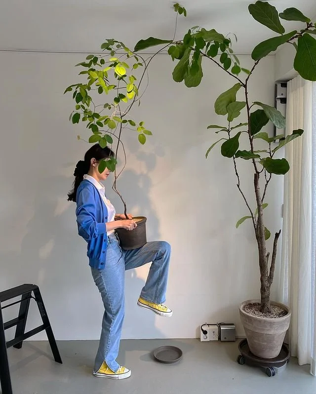 102360815_2753909304841561_4097560701577000924_n.jpg?type=w1200