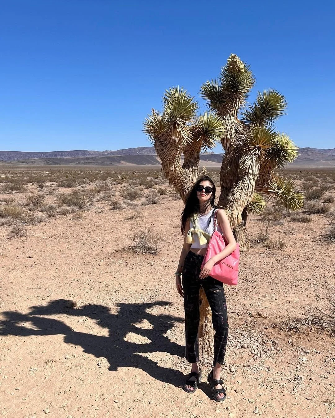 %EB%B2%A8%ED%81%AC%EB%A1%9C5.jpg?type=w1200