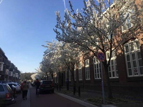 P20170326_172316373_382350C9-8F75-4DCE-BDC7-971502509806.JPG?type=w2