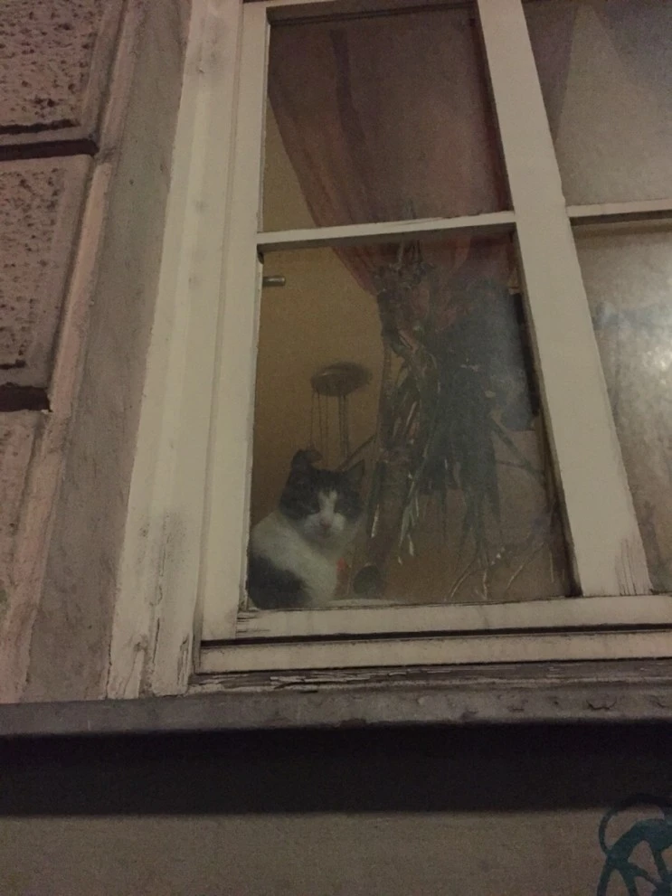 NaverBlog_20170325_143226_16.jpg?type=w2