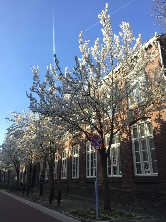 P20170326_172258663_A7C2A20C-2185-4A7A-B713-059351897628.JPG?type=w1