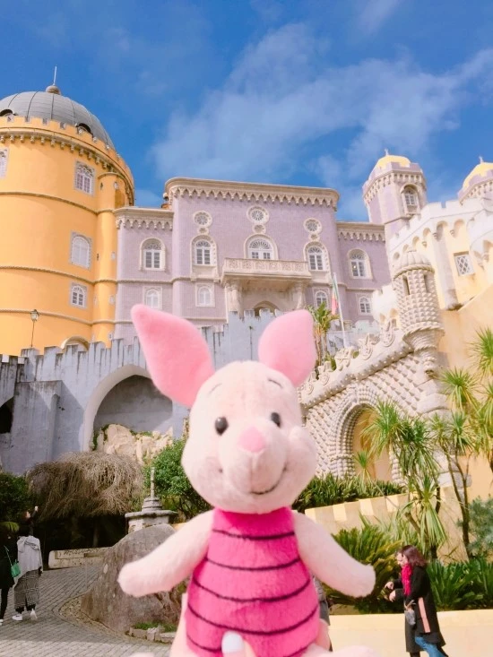 P20170303_121811906_FD8BB32F-8126-4913-89C2-12B630B2032D.JPG?type=w2