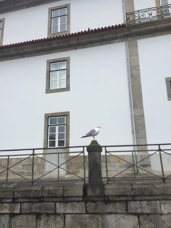 P20170305_161502531_2F34ECA3-369C-414E-9D26-EE55715EADE0.JPG?type=w2