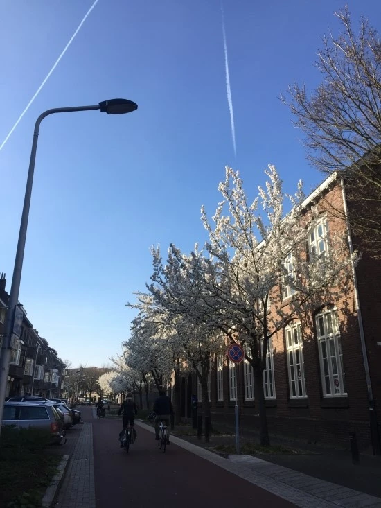 P20170326_172246689_A189E917-FFB2-4AF7-888B-8C52982D82EC.JPG?type=w1