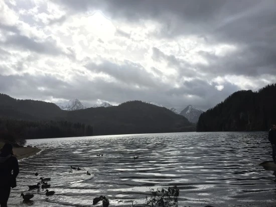 P20170319_152309091_1E432D9E-9C1C-403E-9B9E-DD96BE6FD06C.JPG?type=w2