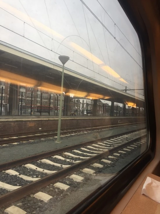 P20170301_142317794_E9DE70E0-C838-482A-813D-B68F13F962B9.JPG?type=w2