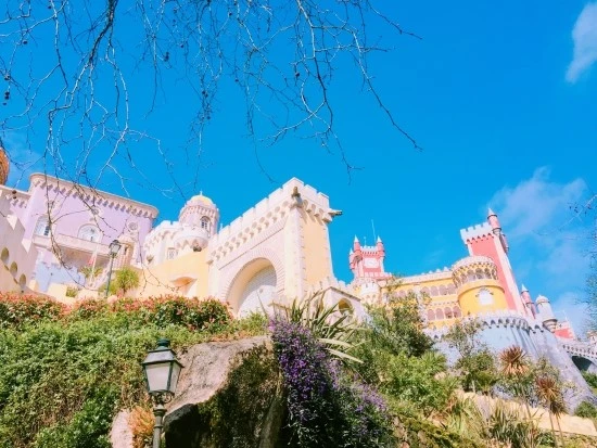 P20170303_112117050_B88D3203-EEDF-4984-B4A7-DE9E9D5237C6.JPG?type=w2