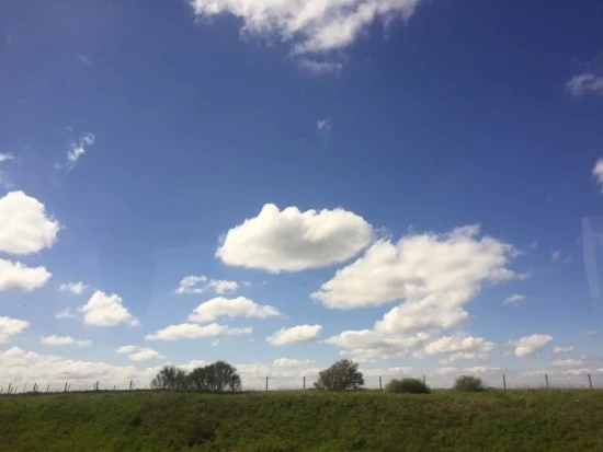 P20170302_121854647_F81C50FB-7F4B-4AF7-8FD3-79761188DFB7.JPG?type=w2