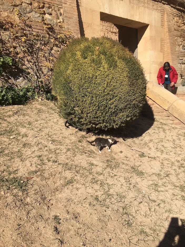 MJVZ9wVPqk2fx9r-SEdaJgoEKHlGlEJXjM_aZydznSlTfHCjMjmDGBGZHl22r9_8gBLq0_76ELzBfS2clyPd2PgH1-bTnNg_U5-frLXaAc5r4LRRLp-tHj1OKjs9_ftvw3vTt9O62rM5_ewGrPH-MUIV3dkyGijNRn-MYe8uG5ViVSwxLcClxrbQk5MLxzvzHzvxm9bhSdwqy8EKKaifRYM76_BM1BOPMWfTG6-qh-Ntqpyd03vlFeofQBCPeWsFv65CBFB_bLmmhg5pJGA7AlbpWbZovup-PyFyh5IAJihhLWuEykZ8_QFfYacpv9buG7tEA3VP4BrfRxu38HUyGAkvNnNd-Hl7OzvvsnRWNecMTKl9PhlHG_XhFsNc7vNA9EHJOaIoIrGVRLy_h8PQC0yA1YGb33Vco2Ql8yuGHP61BvkqNaUKF-HD_Iy234Zr0t7SdZHuWIilemrxK8mNrE-J36UwHOsarpEYx8ZjD87s-s7rJVqzsavG0Jo4UsulUmFB0xEP8_1C3e8TUxCxZbA4wP28h3nkSJOPrGuGrwEeRpa4m7UfRxNsB85-jE5-DQfeV2KaDjLrf0-qM8UprKoxo9oO4CU165LsQFPWfmJEEFhPRewFBWPEtehYQ43Ln0Wkp-s3ipja8ovS2DUBsb2eClblIR6wqfocx27j3aV-cT9FE66g5LVWsE7yPKNlLD2tWBIZWSs0TqSLm8IfThud=w703-h937-no?authuser=0