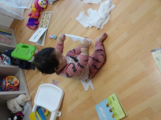 CAM04184.jpg?type=w2