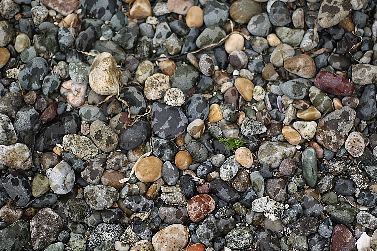 raindrops on the rocks.JPG