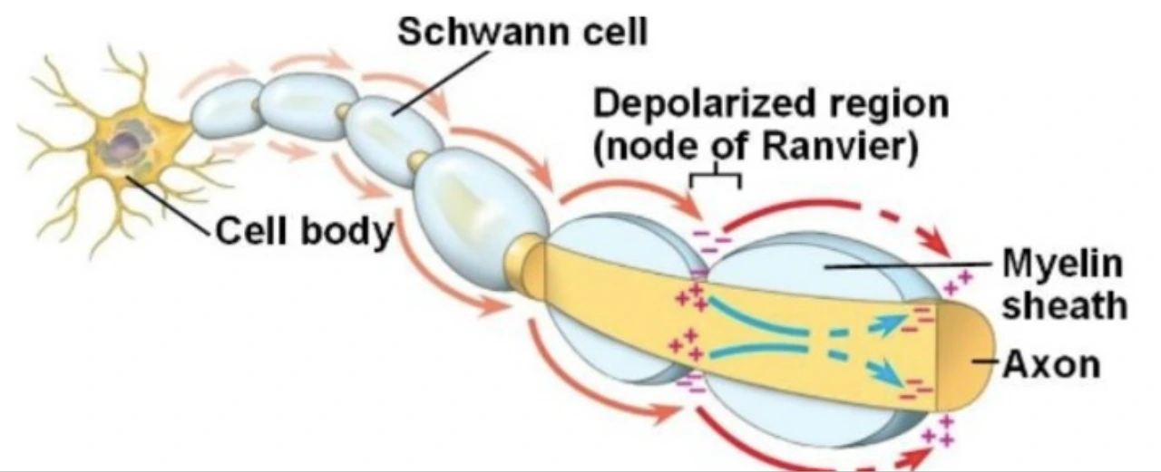 Sa_VFYnB5X9g8eKjObK7CDwy8Y5I4cLEFg5blS_aMchBuplEu6sh1CoC65VAwyj5wIoeQlAroOLUuDE0coT68_JsXETumSZ6bWezmBctfCWaYSog9PdQpU9FxgWU0Zqro667IZoD