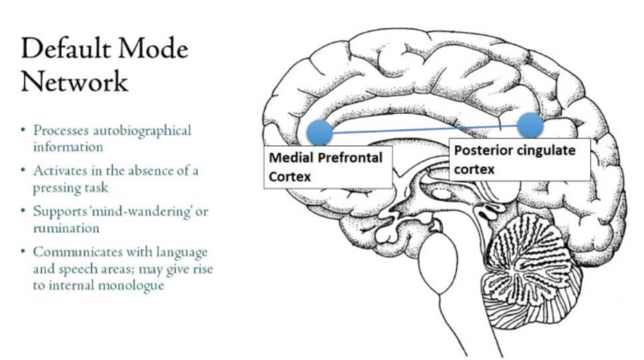 yHP6deKInXpuV_0NGmBH5E9VQXuk5mcQNFNCWSDFu8oZtXOmhSyE2z2mChxlT5OfKHyQvSgpv6-yaFYn5Tmvfx_tX3jVQbNtuftlUNoNZF9PsvmoUorw6GkxJXT6NQEhJ0PJYHJd