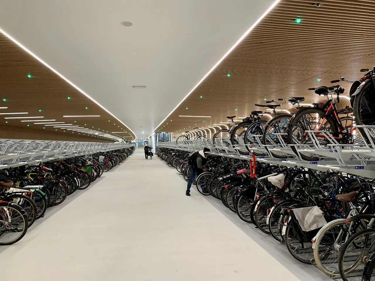 new-bike-garages-amsterdam-central-station-architour-guiding-architects.jpeg