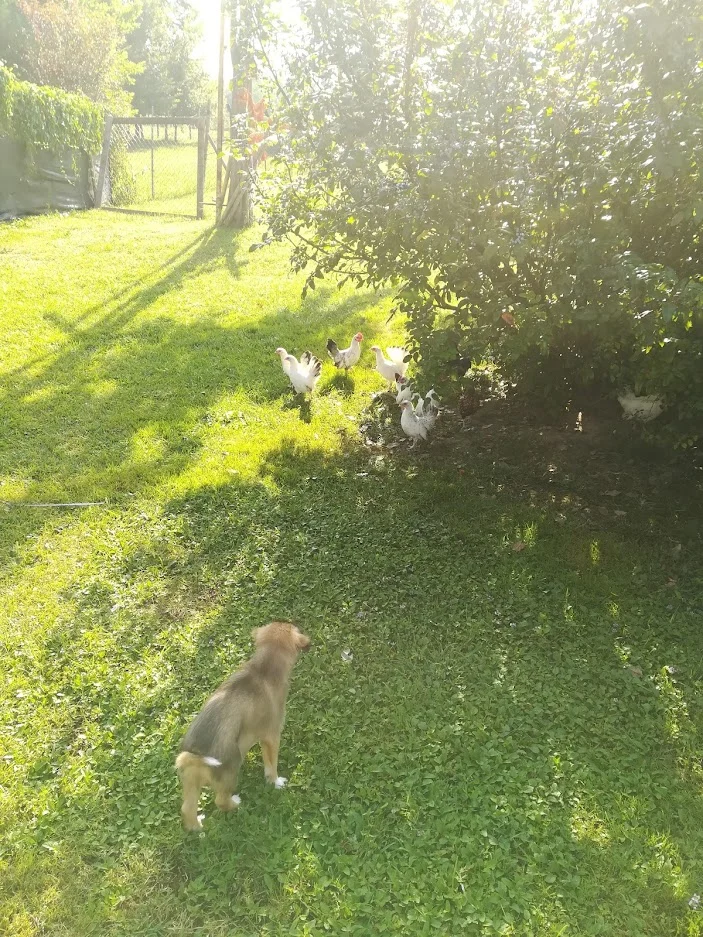 0FiDmhgVPhRzxL_bCTwU22jVgC-GIbvaYi8yGmNhiQTTFRHQ_7-qZ6gaXrs-1kAoZPCHPzz7uWi6FvvGGu84jhT-oNX61XPV6DqGi5iin8jCwOZ4nzls-Te9K7QtxNGHiDnYjO467AmXQOkYlgEo-9RqZFfAvH9DZ6tB0fgJzAkNk2qEar8lDP3h2fdk5K1BIFRIC_g3I2LEi3HdtZ-dFok_e8BgLPX51d-Mj0WNqM7Ei_5Ehe1Na77PPLAI0X8oRZBey0YHWdDFXUb8RWul1PEfmSeWIK03uJcKFdnCD48CqMgLDn7_qeTqxGooT3gx-L1wrqsJoq1f103KR0mMmnKD2bd3rOjb1JyGyT2n7WNc25LPZe73RV_k4Wj2RgIBb0T6gmQR-5x1EcAZUg5vSSRESTLnXE-7OIRGPX_JvZTumIxhtDLbvFyKK2lbmsQ9hH0Z3NfJScLU4T3ftBfY6cJltKRGV3D4Juzin2KNMUsQnoGl76bUZB9MpW2ecm0wFoVOHuK4xtOw9ffbTYpdK7-NbAvuAlzwmJSQX2lI2TRXwRi0PGjvzv24EiYoUe_3a9PGy_Y1BhF1osekZnaFsDwH4DjNKy49_o-YNQyuVYDqVtTHPf4ztco8VVnOevkZkxZ5xSUu3pj3wRX5vctcCZtbqmzcmsjZll204mCp2dxBAxsUU4btrV_DJAFIY7IO-fCHAv1aril8rIPRr4fFIRMT=w703-h937-no?authuser=0