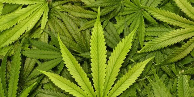 5d701f452500008d0003affc.jpeg?ops=scalefit_630_noupscale