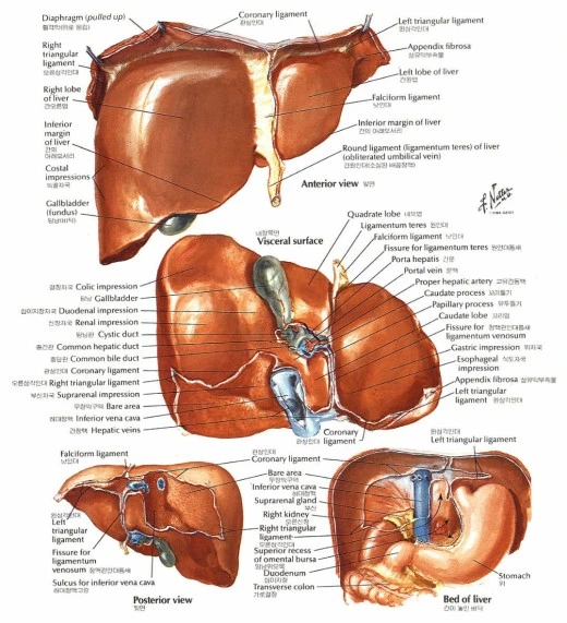 2_f37Ud018svc1s9uqhguxbarm_uhwf7f.jpg?type=w520