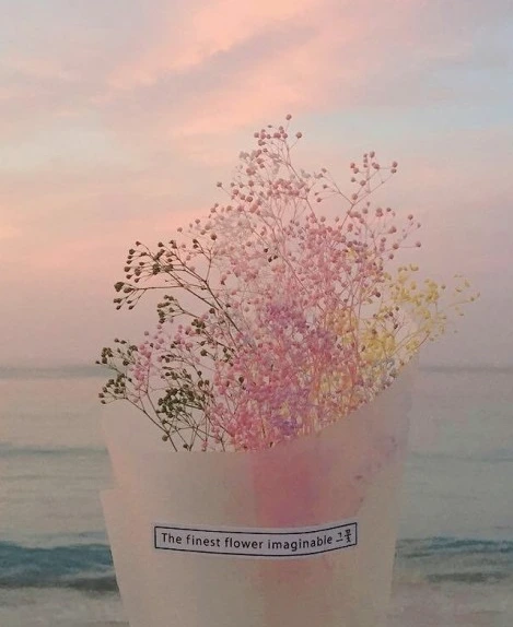 ?src=http%3A%2F%2Fblogfiles.naver.net%2FMjAxOTA2MTJfMTk0%2FMDAxNTYwMzAzNjIxODE2.dThdCP_Z-oxogl9AZr1UprASrgnNjTv-W6vrGMFElX4g.xq5WItbn3w4zpXjuxXk2HXwTEGwwNyfK_RnPcylQBtwg.JPEG.seohyunsspark%2Ftumblr_p8rhm4zERl1w0wih6o1_1280.png.jpg&type=sc960_832