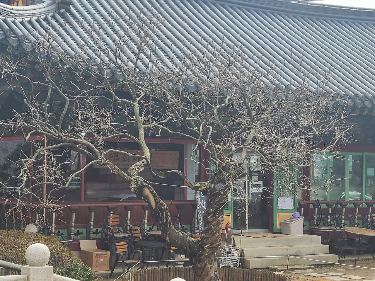 KakaoTalk_Photo_2024-02-29-15-59-00 014.jpeg