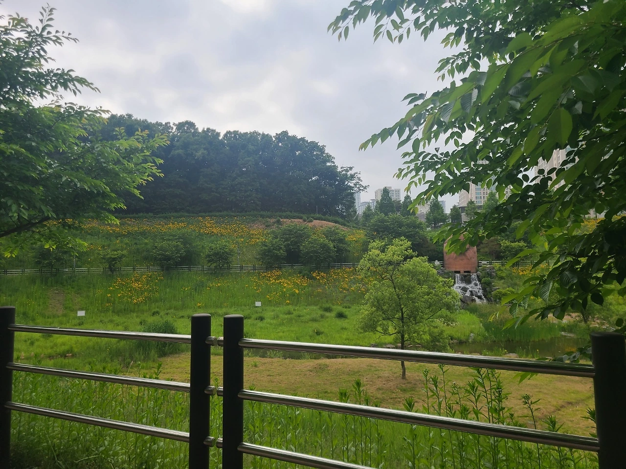 KakaoTalk_Photo_2024-05-24-16-54-47-8 복사본.jpeg