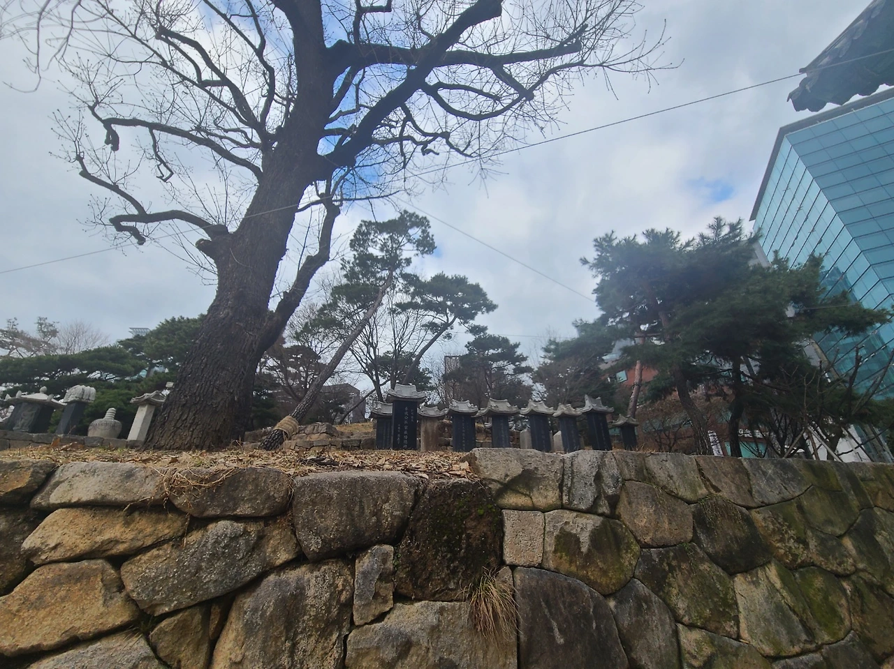 KakaoTalk_Photo_2024-02-29-15-59-00 012.jpeg