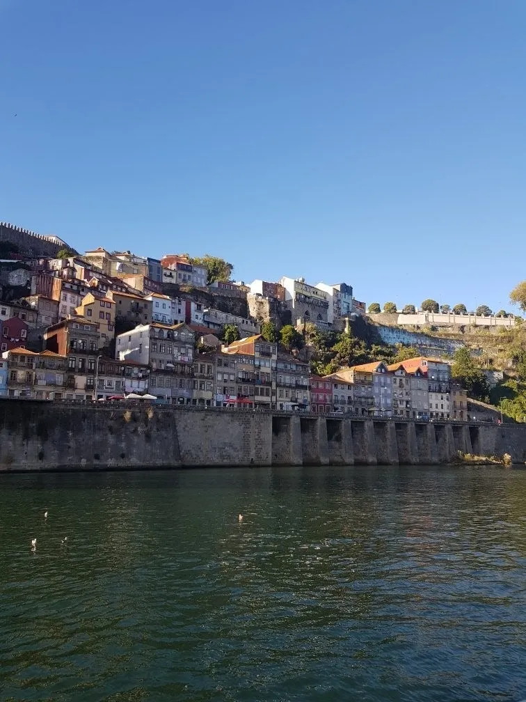 common?src=http%3A%2F%2Fmedia-cdn.tripadvisor.com%2Fmedia%2Fphoto-o%2F1b%2Ff5%2Fa1%2F6a%2F20200907-180810-largejpg.jpg&type=m1500_travelsearch