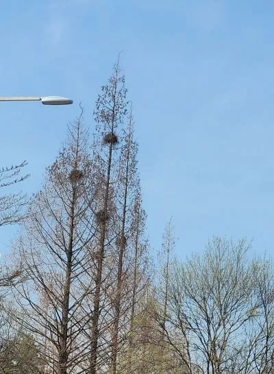 KakaoTalk_20240404_164332693_01.jpg?type=w966