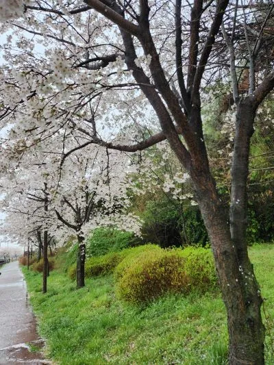 KakaoTalk_20240407_112146494.jpg?type=w966