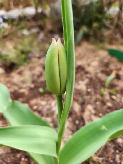 KakaoTalk_20240404_171122446.jpg?type=w966