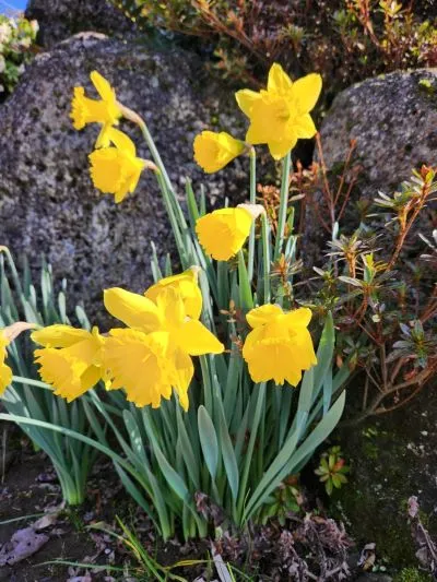 KakaoTalk_20240317_175313861.jpg?type=w966