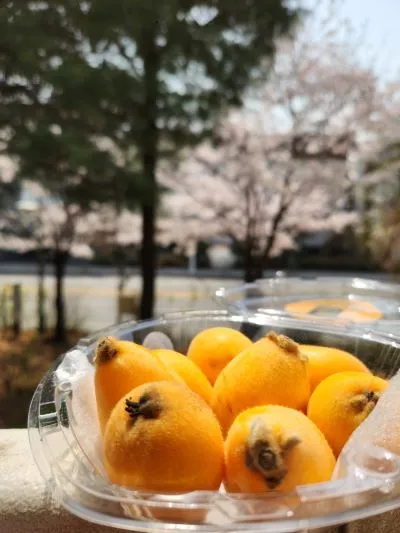 KakaoTalk_20240407_112427627.jpg?type=w966