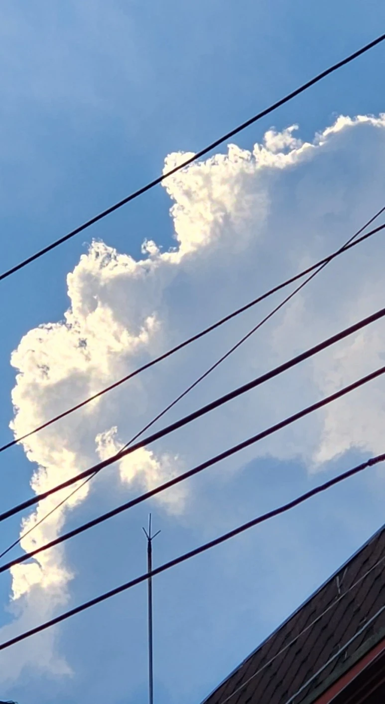 20230731%EF%BC%BF101439.jpg?type=w773