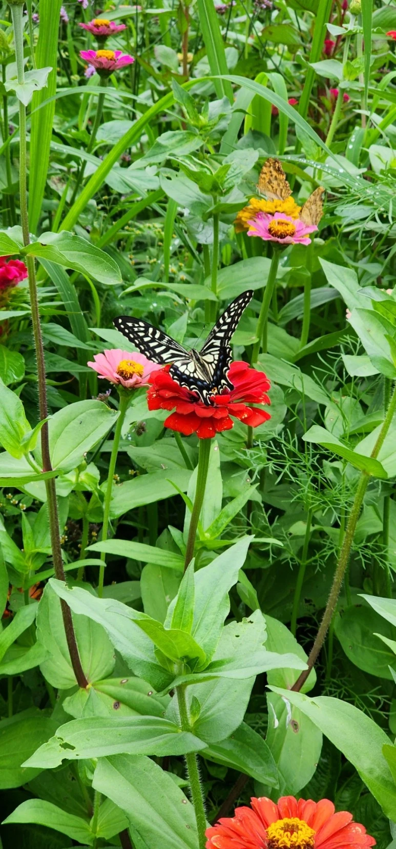 20230717%EF%BC%BF140536.jpg?type=w773