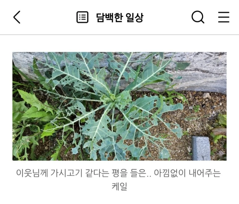 Screenshot%EF%BC%BF20230704%EF%BC%BF231223%EF%BC%BFNaver_Blog.jpg?type=w773