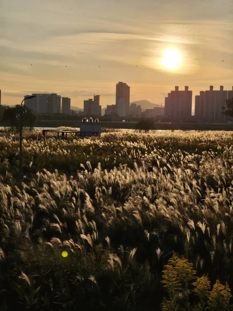 1697411821991.jpg?type=w773