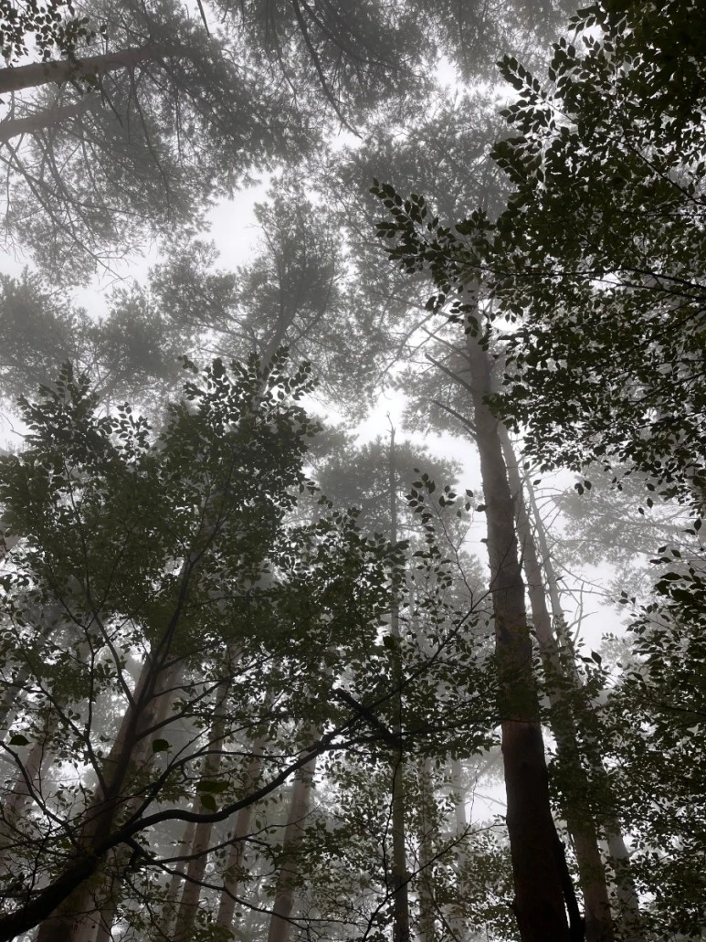 1696079020078.jpg?type=w773