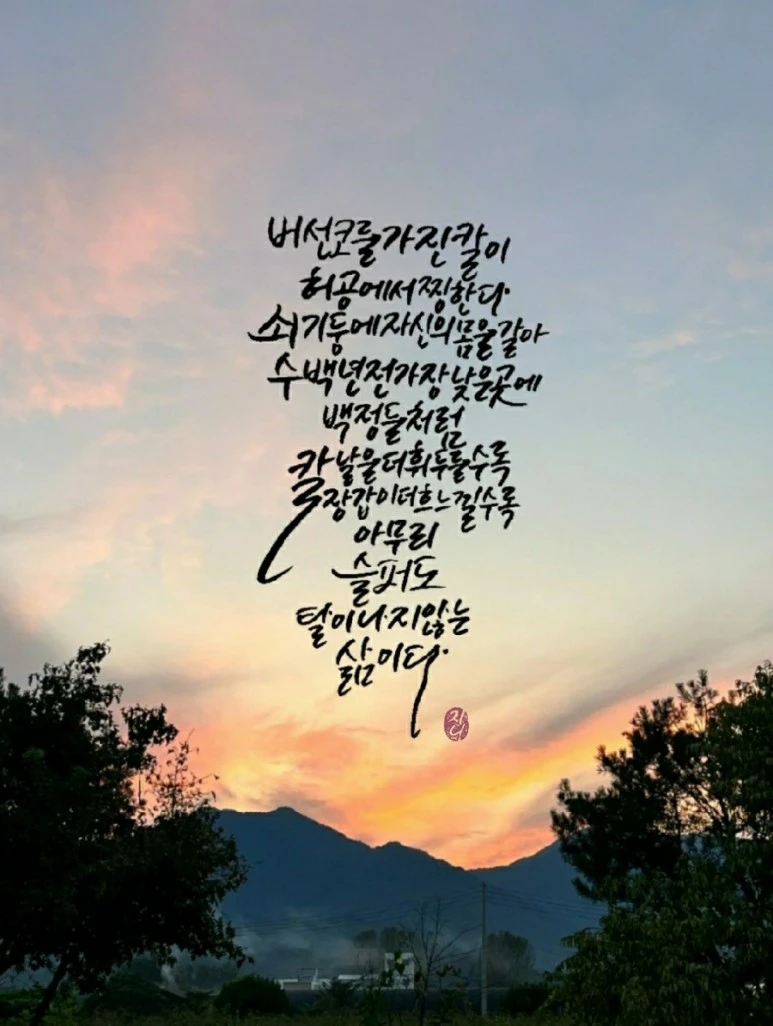 1694919304584.jpg?type=w773