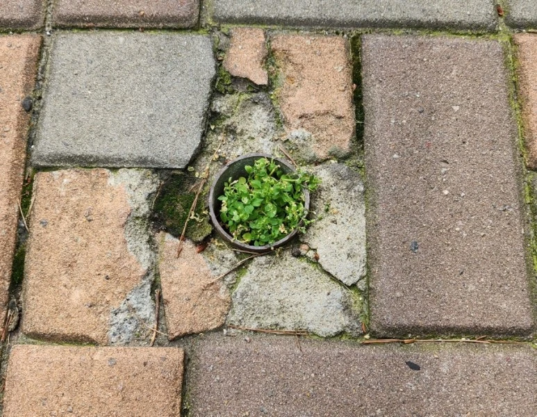 1688430704353.jpg?type=w773