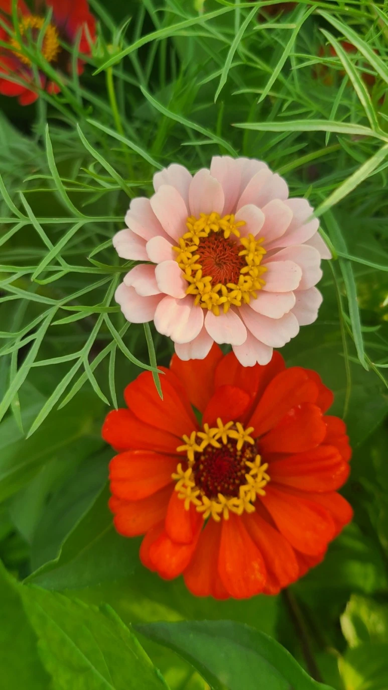 1688639118905.jpg?type=w773