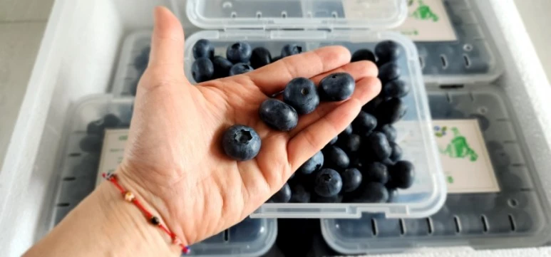 20230623%EF%BC%BF125537.jpg?type=w773